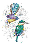 Sketchy_Fantail_and_Kingfisher.jpg
