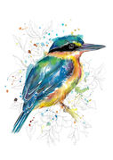 Sketchy_Kingfisher.jpg