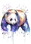Space_Panda.jpg