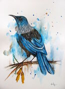 TUI_BIRD_4.jpg