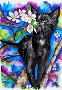 TUI_THE_CAT.jpg