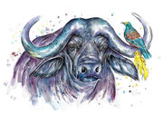 Tui_and_Buffalo.jpg