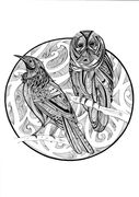 Tui_and_Morepork.jpg