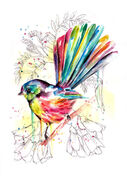 VIBRANT_FANTAIL.jpg