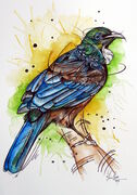 VIBRANT_TUI.jpg