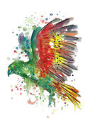 Vibrant_Kea.jpg