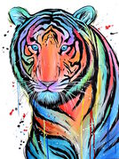 Vibrant_TIGER.jpg