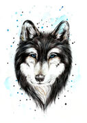 Wolf_Design.jpg