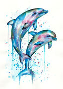 dolphins.jpg