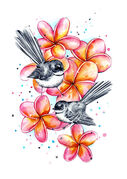 frangipani_fantails.jpg