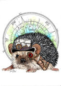 hedgehog_2.jpg