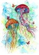 jellyfish.jpg