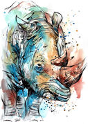 rhino.jpg