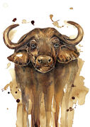 small_Coffee_Buffalo.jpg