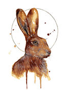 small_Coffee_Hare.jpg