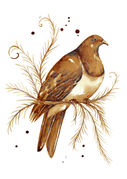 small_Coffee_Kereru.jpg