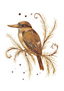 small_Coffee_Kingfisher.jpg
