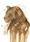 small_Coffee_Leopard.jpg