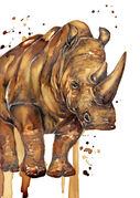 small_Coffee_Rhino.jpg