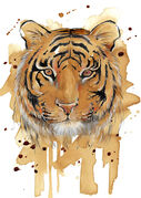 small_Coffee_Tiger.jpg