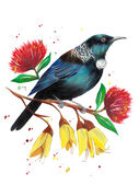 small_Echoes_of_Aotearoa_Tui.jpg