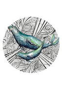 small_Galaxy_Seals.jpg