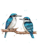 small_Perched_Kingfishers.jpg