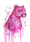 small_Pink_Cheetah.jpg