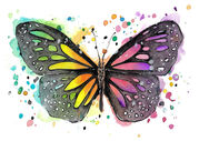 small_Rainbow_Butterfly.jpg