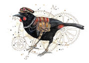 small_Steampunk_Saddleback.jpg