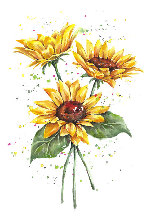 Summer Sunflowers plants & insects FionaClarkeART.co.nz